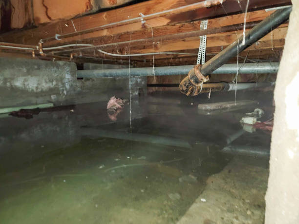 Professional Water damage restoration in Phillipsburg, KS