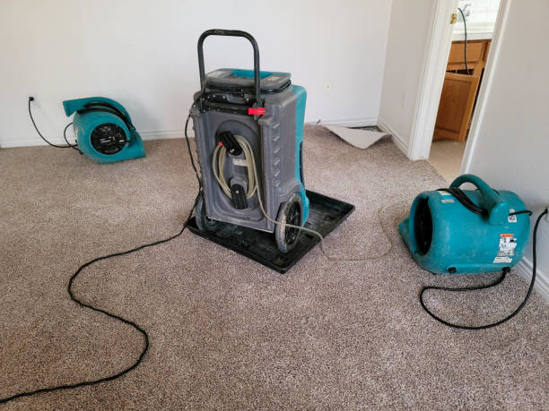 Best Ceiling water damage repair  in Phillipsburg, KS