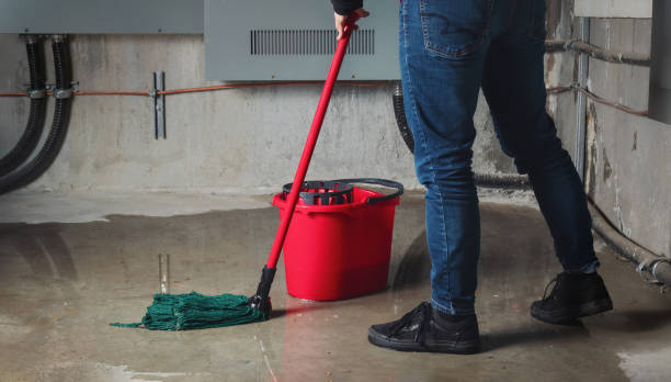 Best Water damage restoration near me  in Phillipsburg, KS