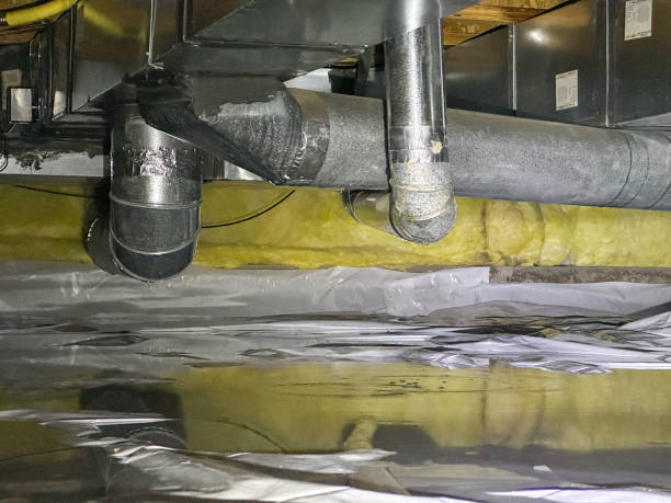 Best Professional water damage repair  in Phillipsburg, KS