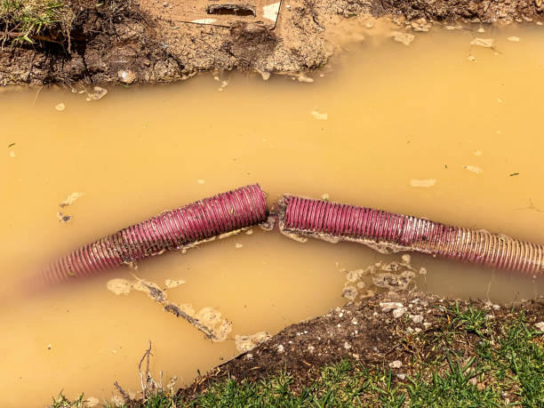 Best Flood damage cleanup  in Phillipsburg, KS
