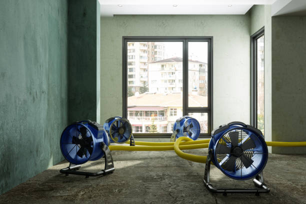 Best 24-hour water damage restoration  in Phillipsburg, KS