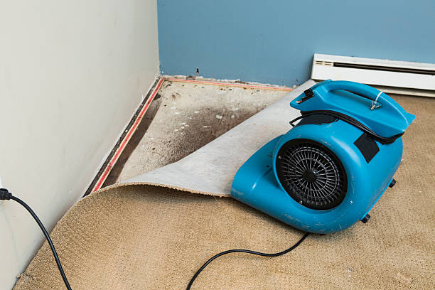 Best Water damage restoration near me  in Phillipsburg, KS